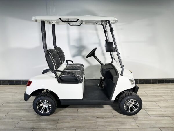 Marshell 2-Seater Golf Cart 2024