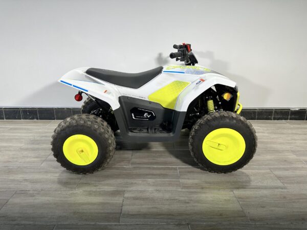 CFMOTO CFORCE EV110 2024 for sale