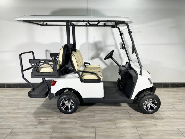 Marshell 4-seater Golf Cart 2024