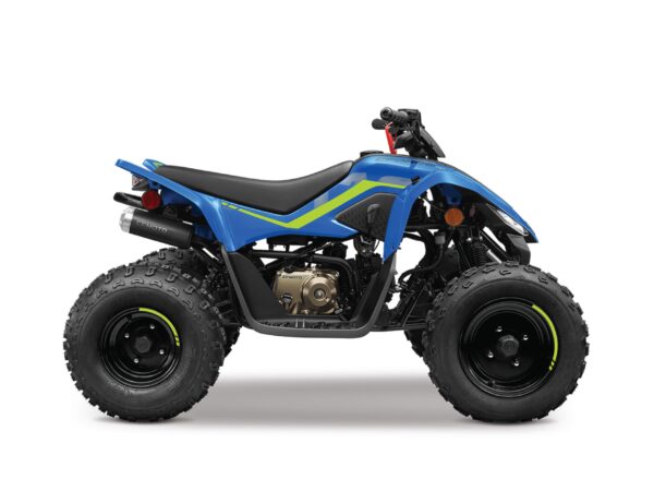 CFMOTO CFORCE 110 2024 for sale