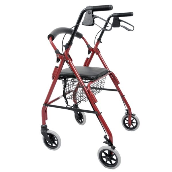 4-wheel walker - Image 2