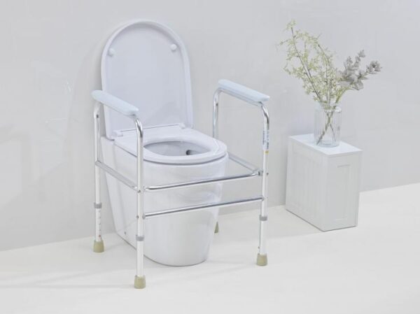 Adeo Toilet Frame